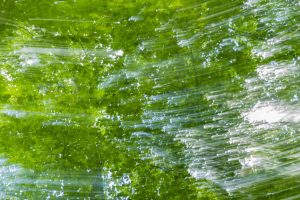 fotografie natuurfotografie abstract Fifty Shades of Green